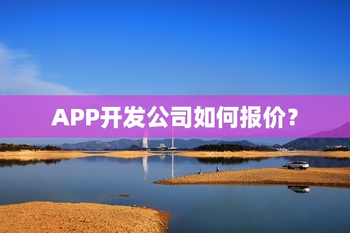 APP开发公司如何报价？