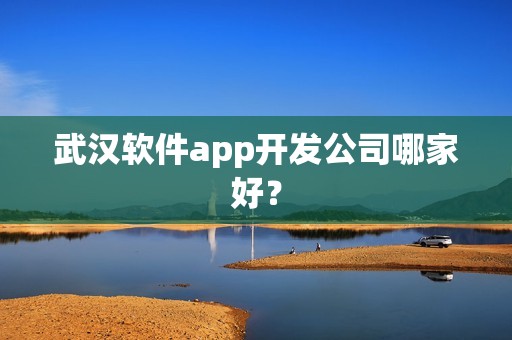 武汉软件app开发公司哪家好？