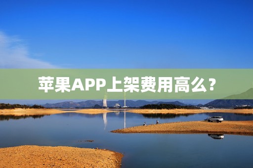 苹果APP上架费用高么？