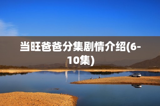 当旺爸爸分集剧情介绍(6-10集)