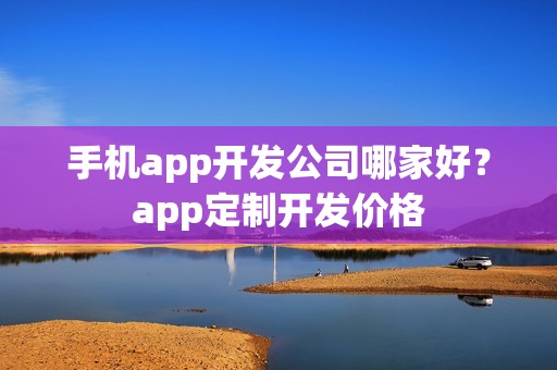 手机app开发公司哪家好？app定制开发价格