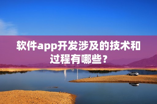 软件app开发涉及的技术和过程有哪些？