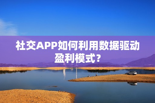 社交APP如何利用数据驱动盈利模式？