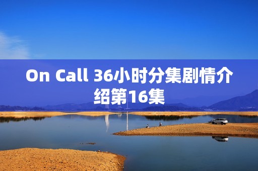 On Call 36小时分集剧情介绍第16集