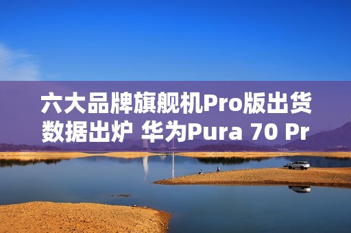 六大品牌旗舰机Pro版出货数据出炉 华为Pura 70 Pro第二