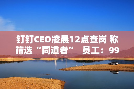 钉钉CEO凌晨12点查岗 称筛选“同道者”  员工：99%的人离职都是因为他