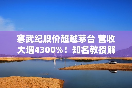 寒武纪股价超越茅台 营收大增4300%！知名教授解读