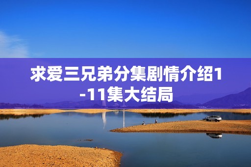 求爱三兄弟分集剧情介绍1-11集大结局