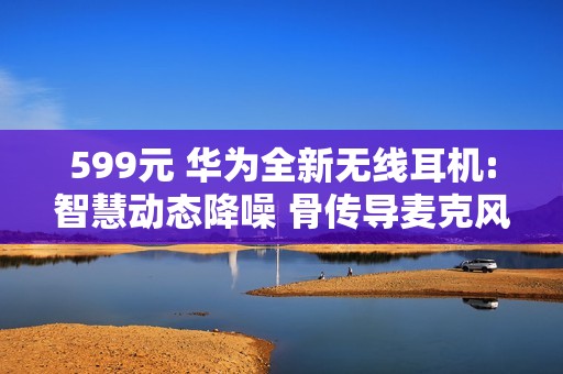 599元 华为全新无线耳机:智慧动态降噪 骨传导麦克风