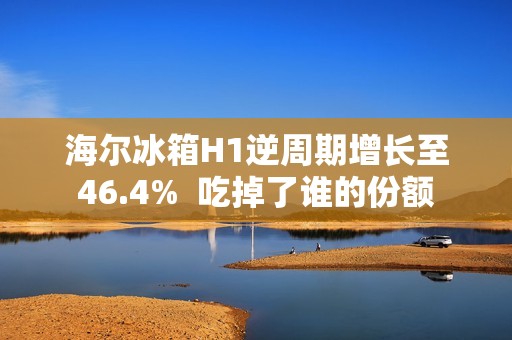海尔冰箱H1逆周期增长至46.4%  吃掉了谁的份额