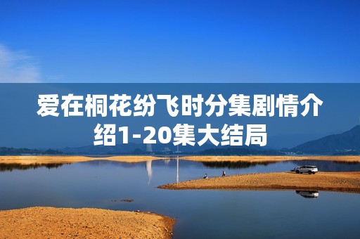 爱在桐花纷飞时分集剧情介绍1-20集大结局