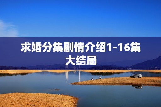 求婚分集剧情介绍1-16集大结局