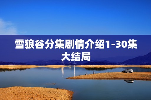 雪狼谷分集剧情介绍1-30集大结局