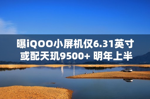 曝iQOO小屏机仅6.31英寸 或配天玑9500+ 明年上半年发