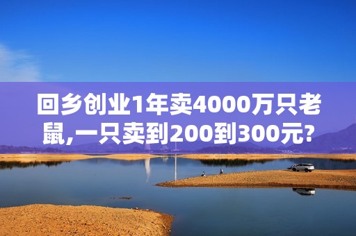 回乡创业1年卖4000万只老鼠,一只卖到200到300元?