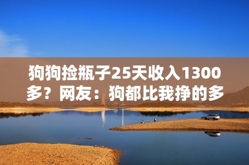 狗狗捡瓶子25天收入1300多？网友：狗都比我挣的多