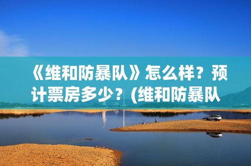 《维和防暴队》怎么样？预计票房多少？(维和防暴队剧情介绍)
