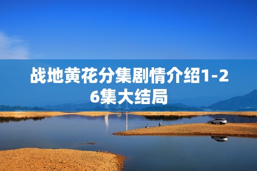 战地黄花分集剧情介绍1-26集大结局