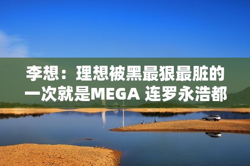 李想：理想被黑最狠最脏的一次就是MEGA 连罗永浩都看不下去了