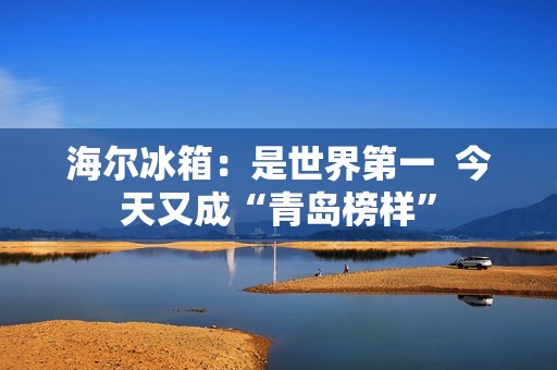 海尔冰箱：是世界第一  今天又成“青岛榜样”