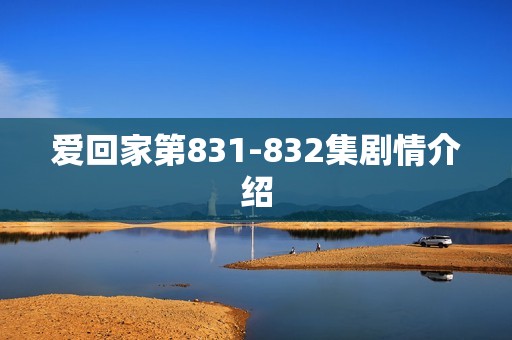 爱回家第831-832集剧情介绍
