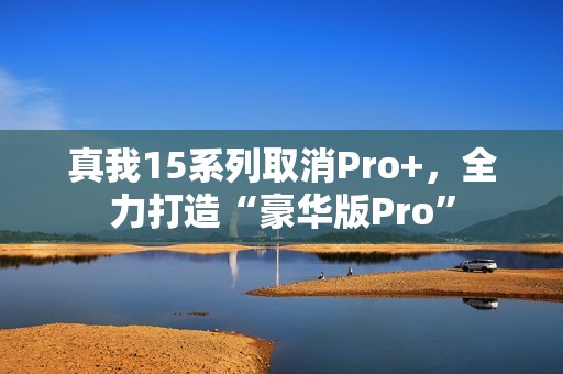 真我15系列取消Pro+，全力打造“豪华版Pro”