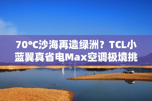 70℃沙海再造绿洲？TCL小蓝翼真省电Max空调极境挑战实录！