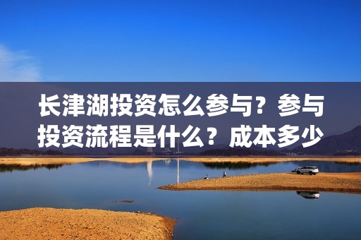 长津湖投资怎么参与？参与投资流程是什么？成本多少？(长津湖投资太大估计亏本)