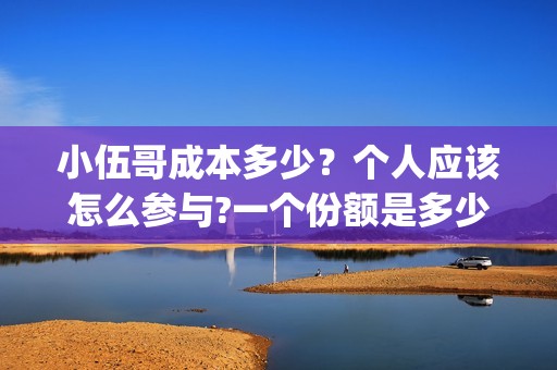 小伍哥成本多少？个人应该怎么参与?一个份额是多少?(网红小伍哥怎么火的)