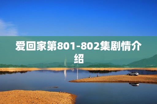 爱回家第801-802集剧情介绍