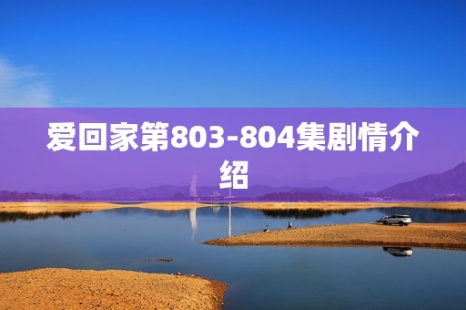 爱回家第803-804集剧情介绍