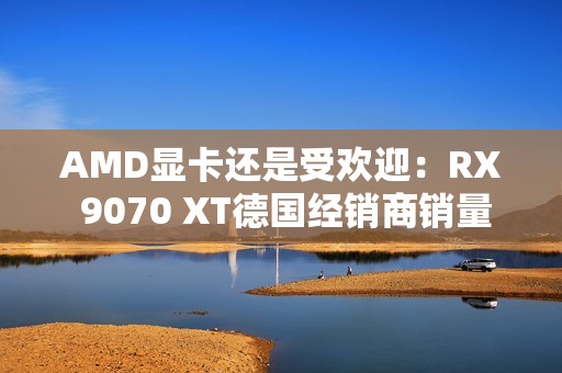 AMD显卡还是受欢迎：RX 9070 XT德国经销商销量与RTX 50总和相当