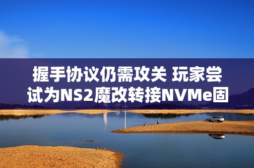 握手协议仍需攻关 玩家尝试为NS2魔改转接NVMe固态