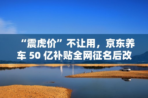 “震虎价”不让用，京东养车 50 亿补贴全网征名后改为“震骨价”