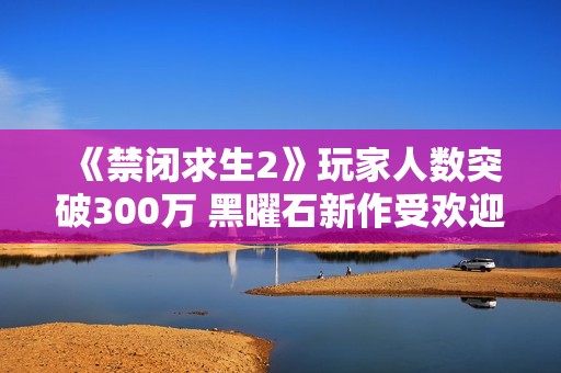 《禁闭求生2》玩家人数突破300万 黑曜石新作受欢迎
