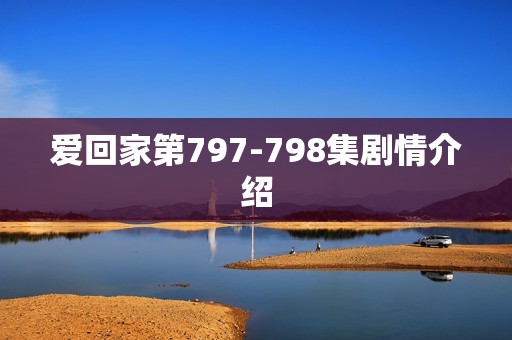 爱回家第797-798集剧情介绍