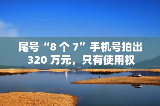 尾号“8 个 7”手机号拍出 320 万元，只有使用权