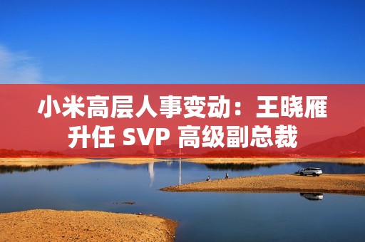 小米高层人事变动：王晓雁升任 SVP 高级副总裁