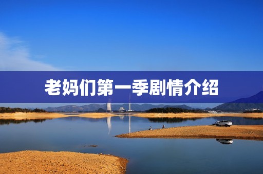 老妈们第一季剧情介绍