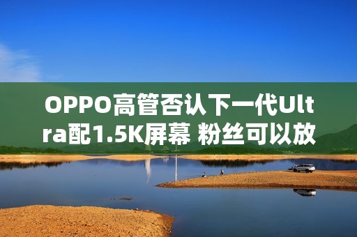 OPPO高管否认下一代Ultra配1.5K屏幕 粉丝可以放心了