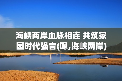 海峡两岸血脉相连 共筑家园时代强音(嗯,海峡两岸)