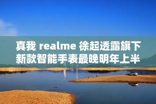 真我 realme 徐起透露旗下新款智能手表最晚明年上半年发布
