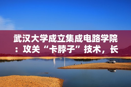 武汉大学成立集成电路学院：攻关“卡脖子”技术，长江存储签约