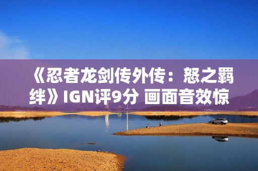 《忍者龙剑传外传：怒之羁绊》IGN评9分 画面音效惊艳