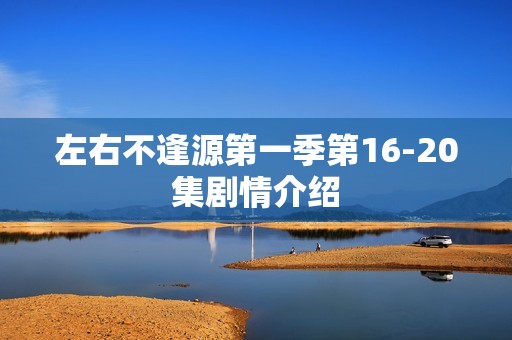 左右不逢源第一季第16-20集剧情介绍