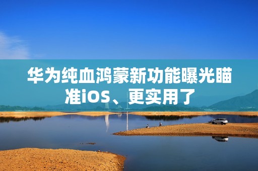 华为纯血鸿蒙新功能曝光瞄准iOS、更实用了