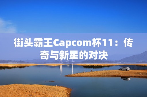 街头霸王Capcom杯11：传奇与新星的对决