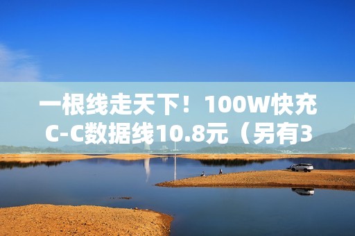 一根线走天下！100W快充C-C数据线10.8元（另有30W苹果线）