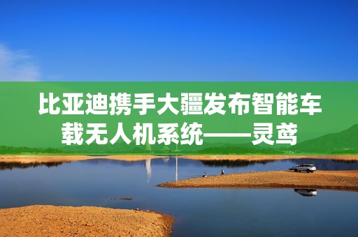 比亚迪携手大疆发布智能车载无人机系统——灵鸢