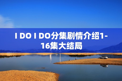 I DO I DO分集剧情介绍1-16集大结局